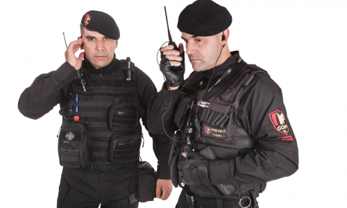 Vigilantes Gopp a Força da Proteção Vigilantes Gopp a Força da Proteção